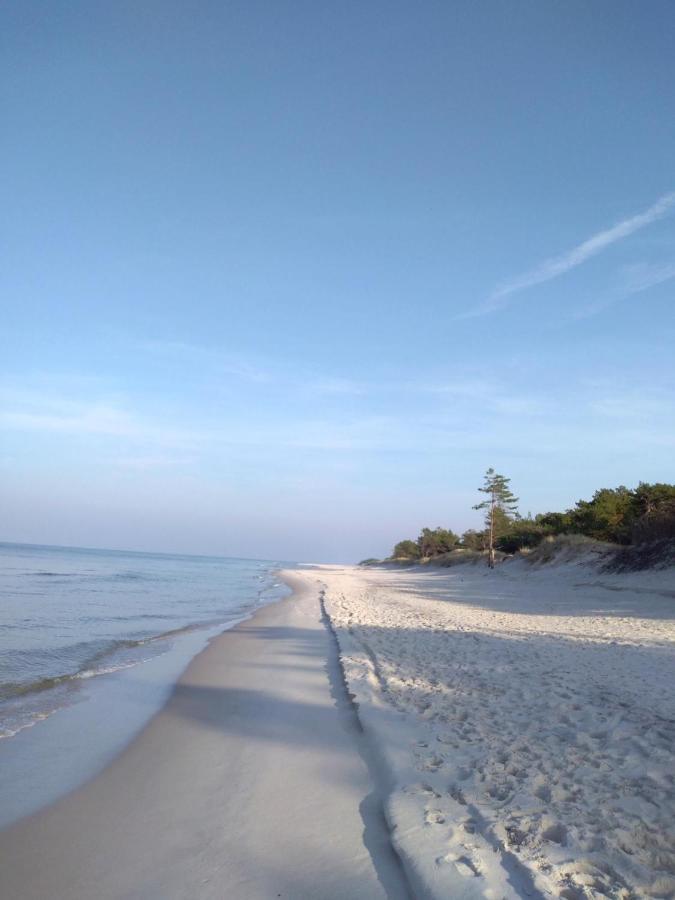 Chata Lawendowa Sasino Bagian luar foto